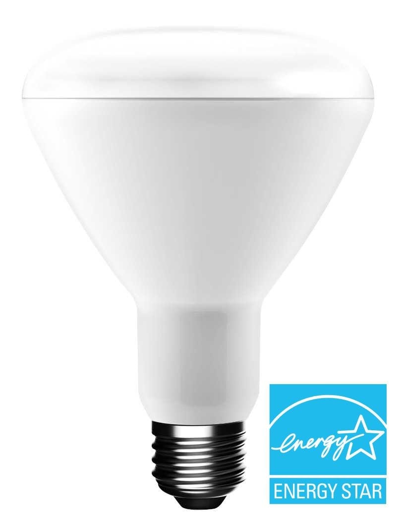 Pure-Light® LED DIMMABLE 4" CAN BULB - LSS Life Safety ...